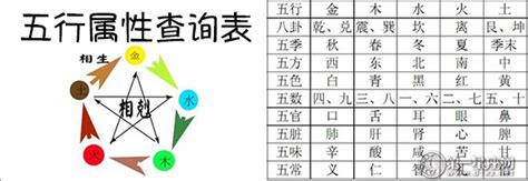 4号人五行|五行查询